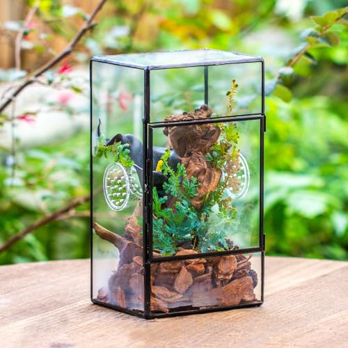 NCYP Rechteckiges Glas Terrarium mit Seitentür und DREI Belüftungslöchern handgefertigt, 13x10x23cm Schwarzes geometrisches Terraium für kleine Insekten Haus Garten Dekoration (nur Terrarium)