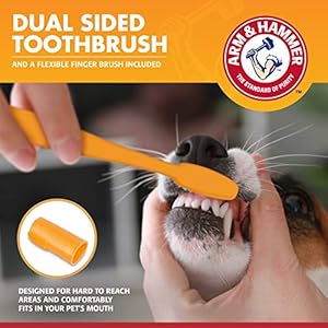 Arm-Hammer-for-Pets-Clinical-Care-Dental-Gum-Health-Kit-for-Dogs-Contains-Toothpaste-Toothbrush-Fingerbrush-Soothes-Inflamed-Gums-3-Piece-Kit-Chicken-Flavor-2-Pack - Cucciolini Doodles   Arm-Hammer-for-Pets-Clinical-Care-Dental-Gum-Health-Kit-for-Dogs-Contains-Toothpaste-Toothbrush-Fingerbrush-Soothes-Inflamed-Gums-3-Piece-Kit-Chicken-Flavor-2-Pack