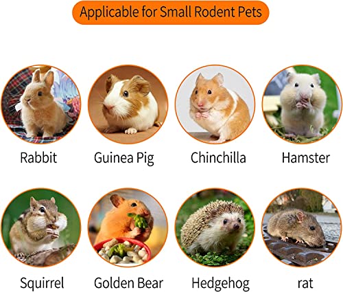 700g Apple Sticks Molar Wood Treats, Rabbit Toys Chinchilla Guinea Pig Bunny Toys Wood Chews Sticks for Teeth Rabbit Food Guinea Pig Hamster Gerbil Chews Small Animals Snacks(200 Pcs) - Image 6