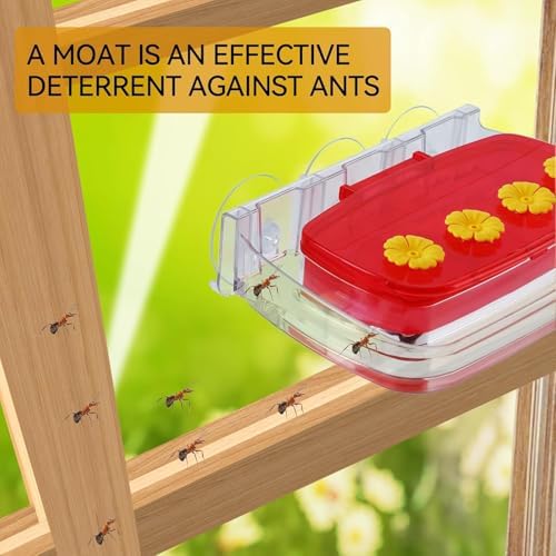 Window Hummingbird Feeder with Strong Suction Cup, Plastic Hummingbird Feeders for Outdoors, Built-in Moat,Easy to Clean and Refil (10oz) (1, Red) - 3