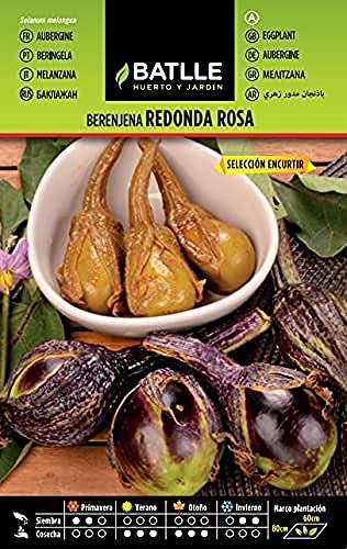 Semillas Batlle Berenjena REDONDA rosada sel. ENCURTIR