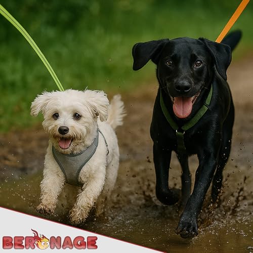 Schleppleine Biothane Romeo ca. 10 m – Reflektierend & wasserfest – mit Rückdämpfer & Haltegriff – für kleine & mittelgroße Hunde – ideal für Rückruf, Training & Freilauf (Grün)