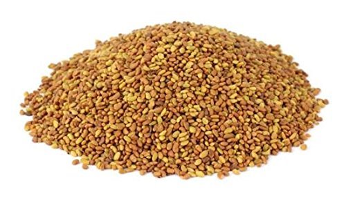 Mystique Hills Organic Alfalfa Seeds,100 g