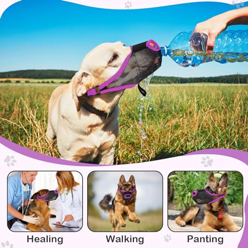 Image of Dog Muzzle, Soft Air Mesh Muzzles for Small Sized Dogs, Breathable Dog Mussels for Scavenging Biting Licking & Barking,Adjustable Mouth Guard with Front Opening, Allows Panting and Drinking (Purple,M)