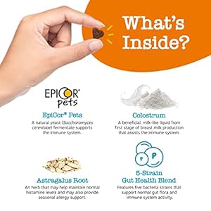 Zesty-Paws-Dog-Allergy-Relief-Anti-Itch-Supplement-Omega-3-Probiotics-for-Dogs-Digestive-Health-Soft-Chews-for-Skin-Seasonal-Allergies-with-Epicor-Pets-Puppy-Lamb-90-count - Cucciolini Doodles   Zesty-Paws-Dog-Allergy-Relief-Anti-Itch-Supplement-Omega-3-Probiotics-for-Dogs-Digestive-Health-Soft-Chews-for-Skin-Seasonal-Allergies-with-Epicor-Pets-Puppy-Lamb-90-count