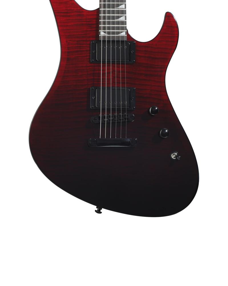 Amazon.com: Schecter Avenger Standard Electric Guitar - Blood