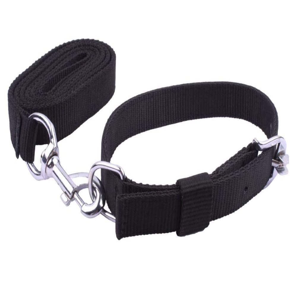 JAPIN Dog Belt and Leash Specially for Medium Breeds (Waterproof, Medium, Leash Size 1.5M-2M) (Black) (B09WRHK3JG) Amazon Price History, Amazon Price Tracker