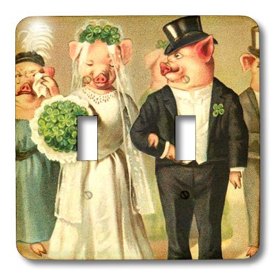 Interrupteur à bascule double Pig électricité décoration maison murale multicolore