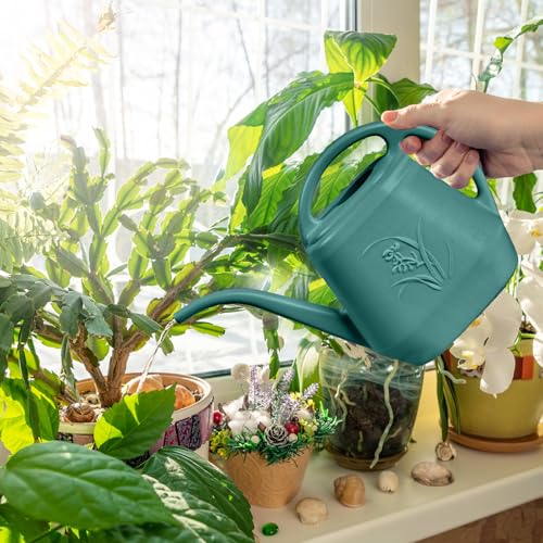 Smart Watering Can for Plants