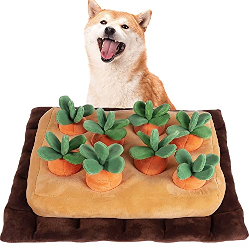 犬用訓練 しつけ用品 通販 Amazon