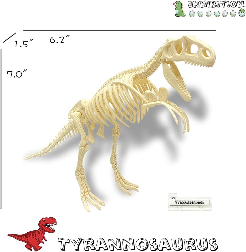 YODAR 3 Pcs Dinosaur Fossil Skeleton DIY Toys 8.7 Inch Educational Puzzles Model Set for Kids Over 8 Years Old