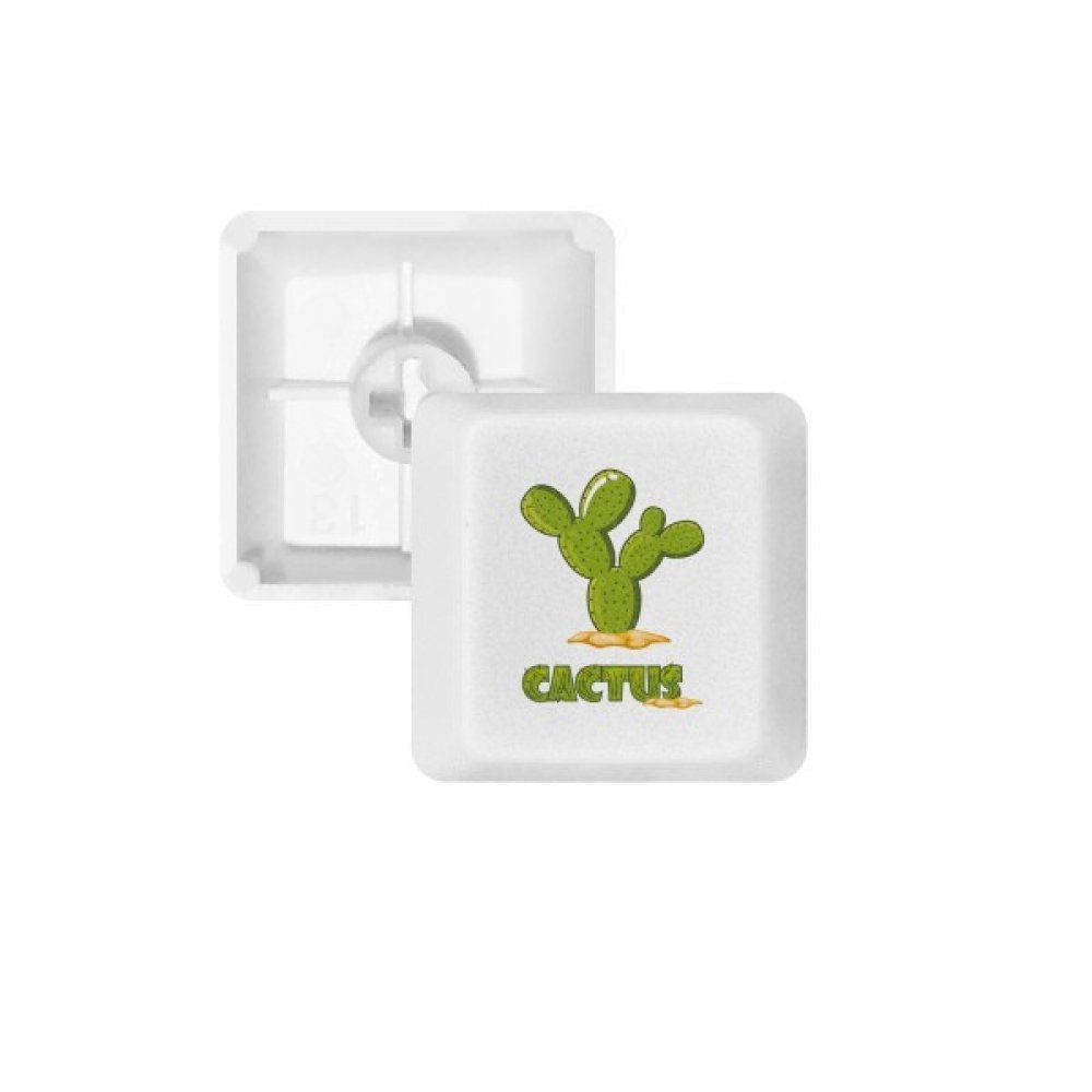 Keycaps PBT Cactus DIYthinker pour clavier mécanique R3