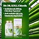 Dr. Koll Bio Chlorella Tabletten – Natürliches Nahrungsergänzungsmittel 100% Chlorella vulgaris | Hochdosiertes Vitamin B12 Supplement | 334 Tabletten Made in Germany