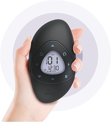 Graywind Accesorios de control remoto para persianas enrollables (canal único + función de temporizador)