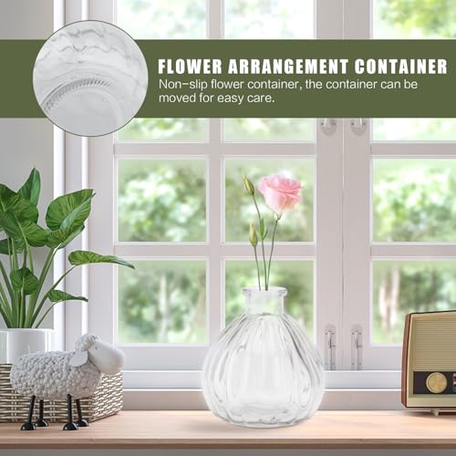 Jarrón de cristal transparente para flores secas y decoración moderna 7