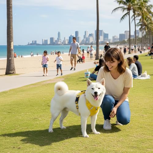 Hundegeschirr – Hunde-Weste, 1 ausbruchsichere Körperbandage für Outdoor-Übungen, verstellbarer Brustgurt mit Sicherheitsschnallen, Haustierzubehör, sicheres Welpengeschirr für Parks, Spaziergänge und – Bild 4