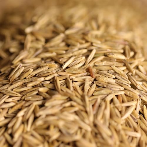 federgold Wachtel- & Hühnerwiese - Saatgutmischung...