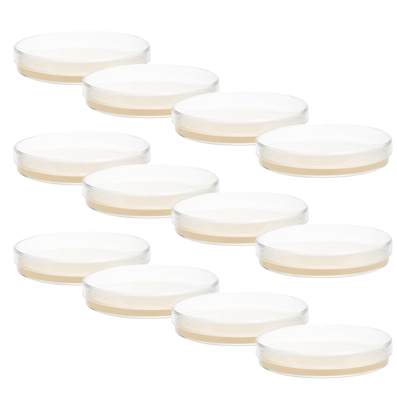20 Stück Sterile Vorgegossene Agarplatten 9cm