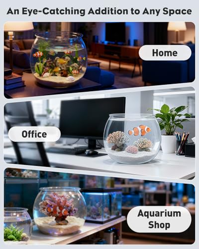 Image of Pawfly Small Plastic Fish Bowl, Clear Round 1.5 Gallon Fish Tank for Small Fish, Unbreakable Small Fishbowl Desktop Aquarium, Shatterproof Betta Fish Tank Goldfish Bowl, Decorative Globe Vase