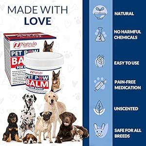 Natrulo Pet Paw Balm for Dog – Natural Healing Ointment for Itchy Paws, Grooming, Allergy Relief, Repair, Pad Protection – Soothing Unscented Shea Butter Moisturizer for Itching, Dryness, Licking 1oz