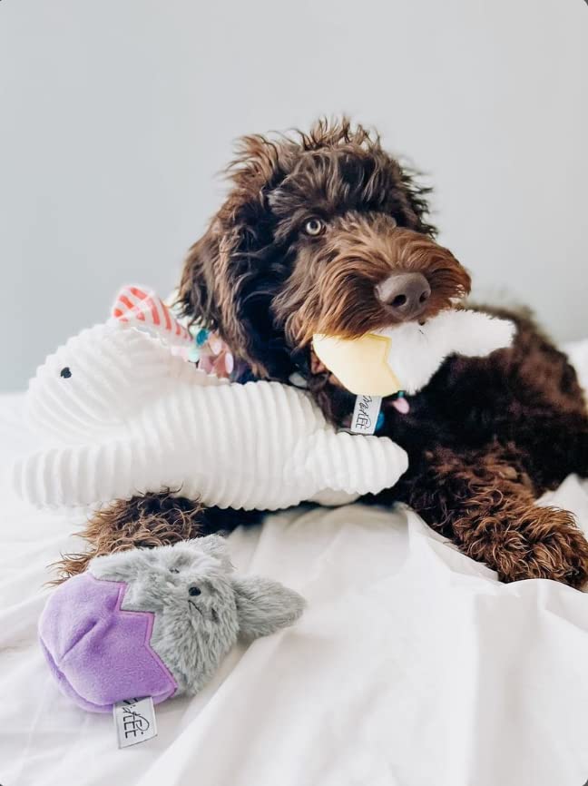 Midlee Set de 3 Juguetes Mordibles Conejo de Pascua para Perros miniatura 3