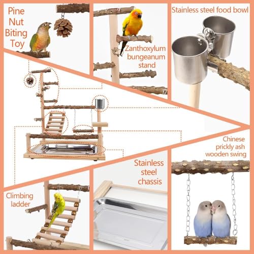 Image of Bird Playground Parrot Playstand, Parrot Stand,Bird Wood Tall Standing Block,Game Table with Feeder (G-500)