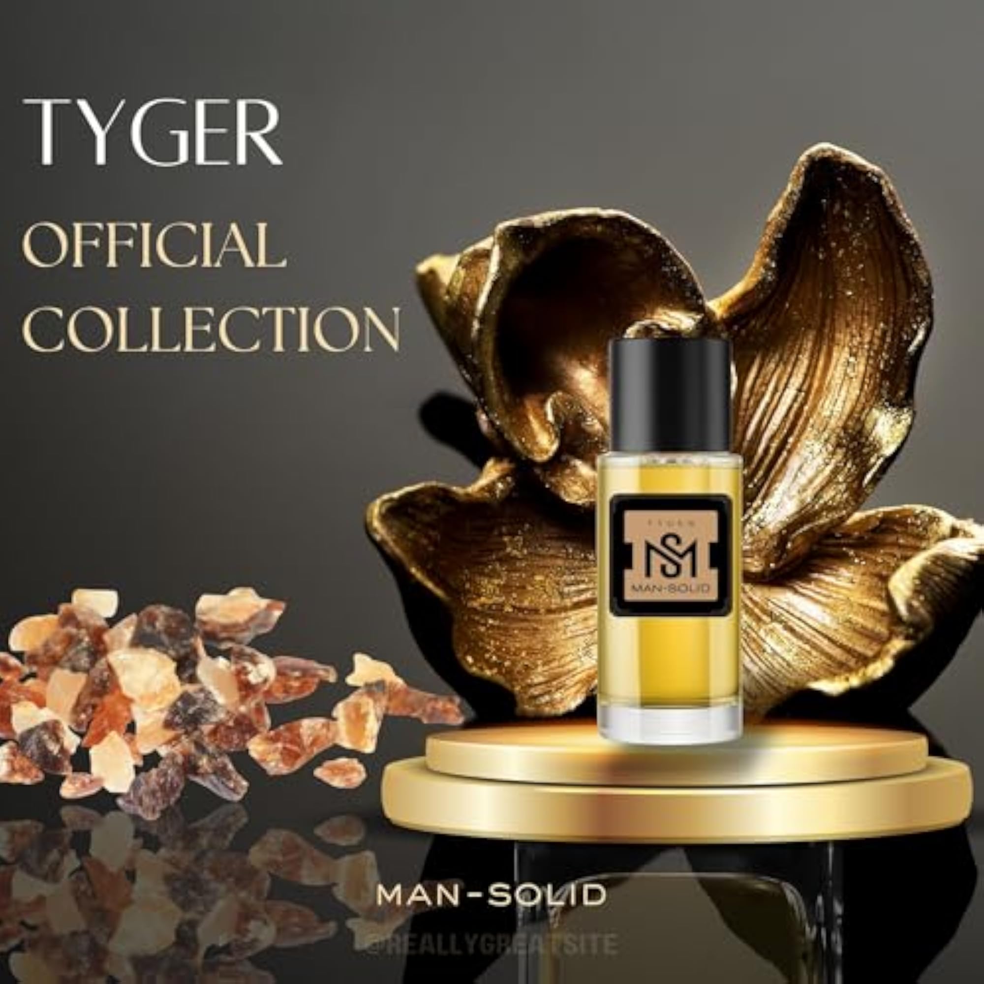 TYGER Spicy Eau De Parfum for Men, Long Lasting