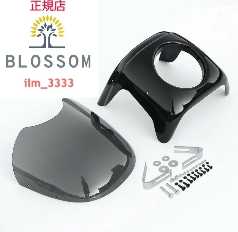 Amazon.co.jp: 全国一律 3000円 ロックハー形状ト ビキニカウル 汎用品 