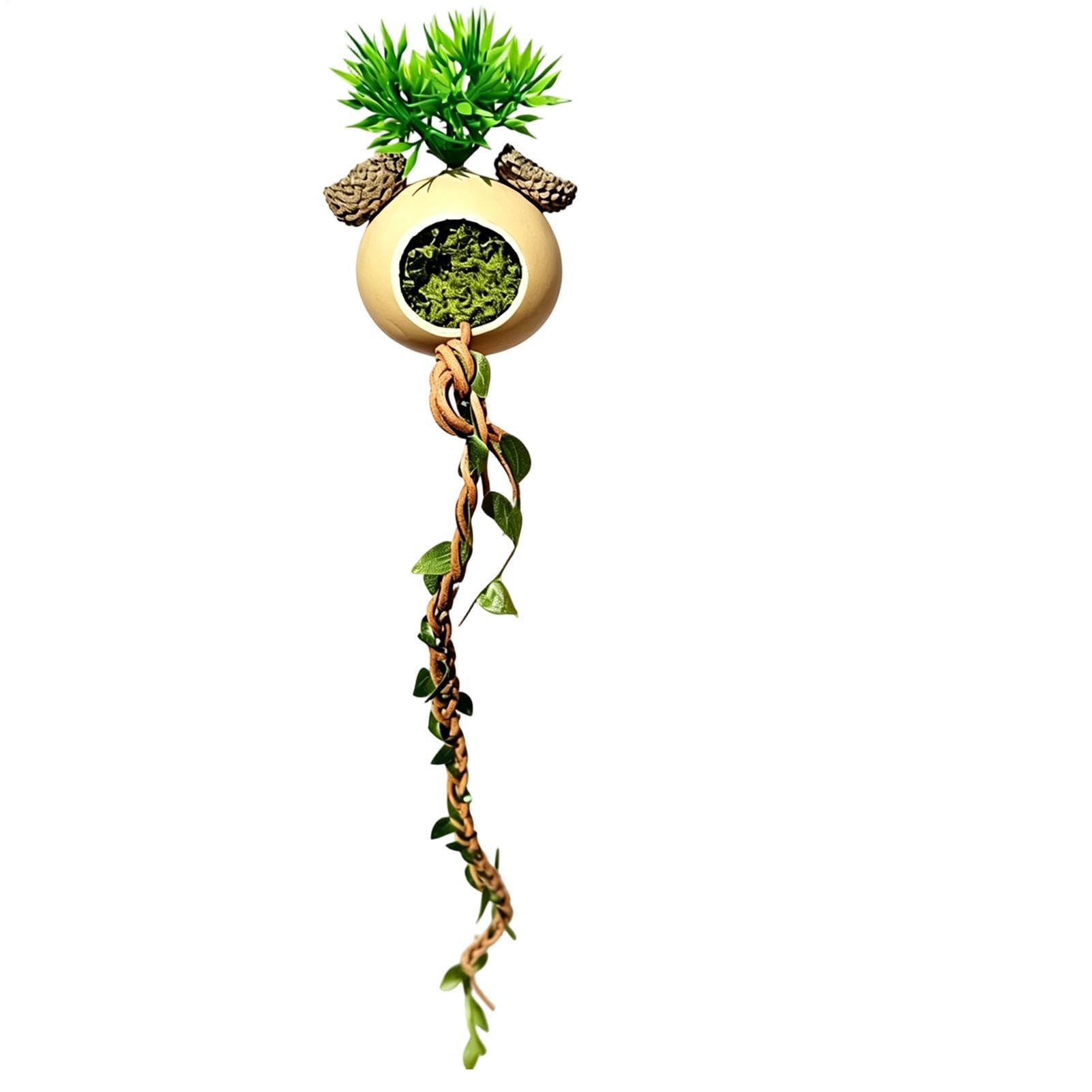 Accesorios de reptiles Springspin para jaula y escalada de tortugas