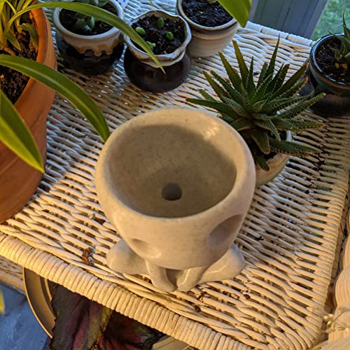Head Planter, Flower Pots For Indoor Plants, Face Flower Pot Head Planter, Face Planter For Indoor Outdoor Plant, Horror Flower Plate Gift For Friends And Family #TOP4