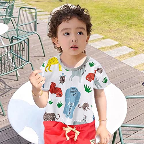 Image of Little Boys Shorts Set Toddler Boys 100% Cotton Summer Short Sleeve T-Shirts and Shorts Clothing Sets 2PCS