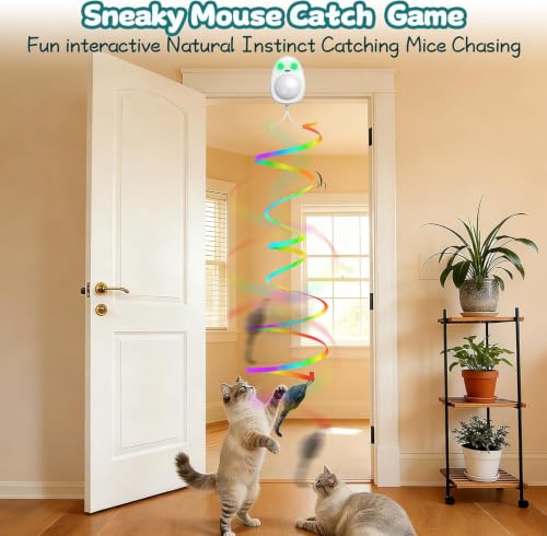 Image of Interactive Cat Toys for Indoor Cats,Electric Flying Bird & Mouse Wand Teaser, Automatic Hanging Door Frame Chase /Hunt /Exercise Stimulate Feather Cat Toy for Bored Indoor Adult & Kitten (White)