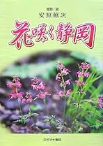 Amazon.co.jp: 安原 修次: 本
