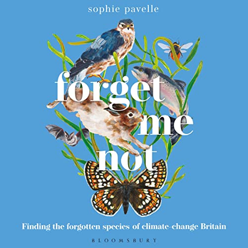 Forget Me Not by Sophie Pavelle episode artwork