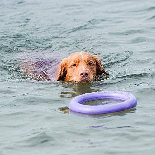 Ferplast Hunde Spielzeug, Hundetraining Ring zum Kauen, zum Laufen, Springen, Schießen, Ungiftig, Schwimmend, Puller Standard, Hundespielzeug für mittelgroße und große Hunde, Set mit 2 Fitness Ringen