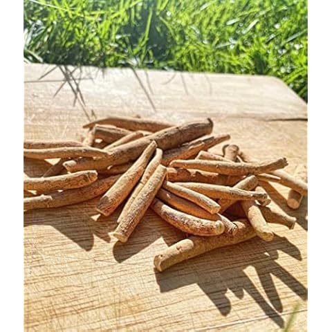 Whole Root Ashwagandha Organic Herbal Tea Cover
