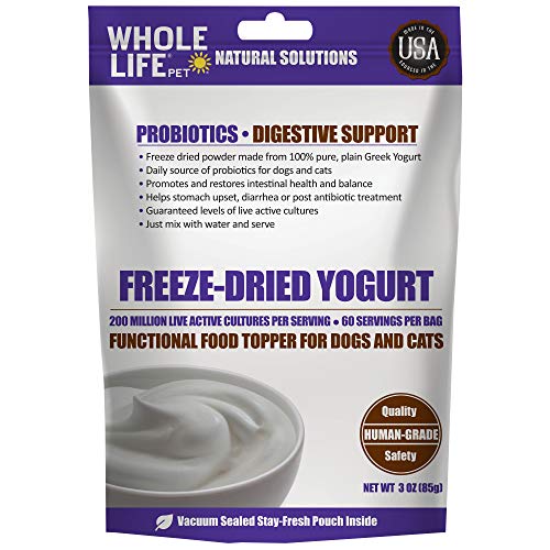 Unleash the Goodness of Probiotics Top 10 Dog Food Yogurts for a Happy