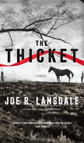 The Thicket view 2