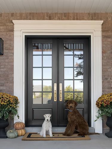 Black Double Entry Door with Glass Panels, French Style Exterior Door with Grid Design