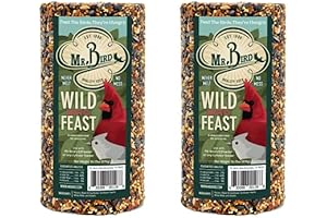 Nourishing Treat for Wild Birds: Mr. Bird's Feast Cylinder