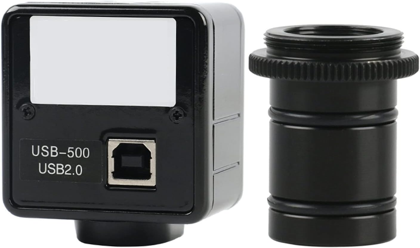 EMP ケラリア ピグマエア / CX157 EMP ケラリア ピグマエア / CX157