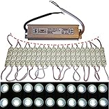 LED-Mafia
