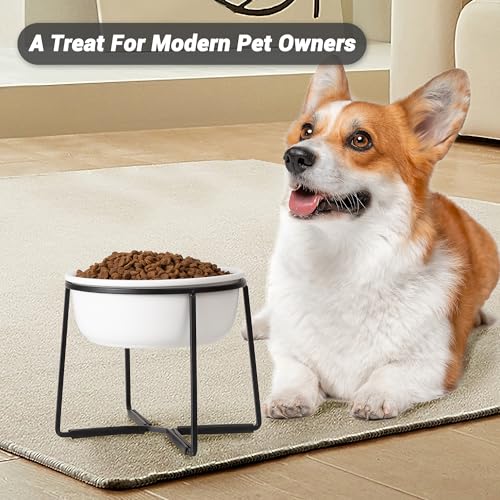 Hundenapf Erhöht Futternapf Hund Keramik - rutschfeste Fressnapf mit Metallständer - Ideal für Kleine und Mittelgroße Hunde - 800 ml - Mattweiß