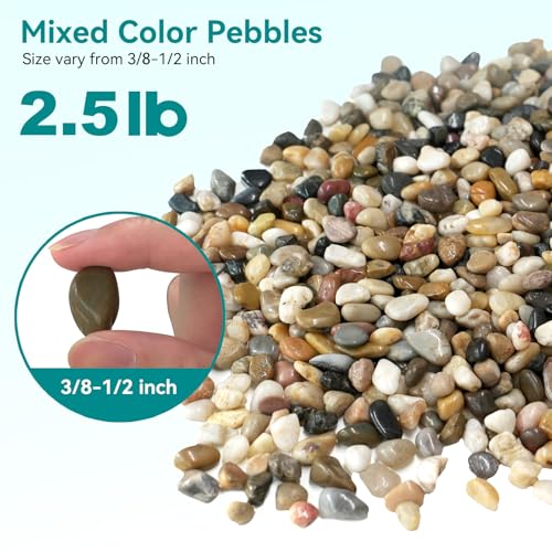 Image of 2.5 lbs Pebbles for Indoor Plants, Vase, Succulent, 3 /8 inch Gravel for Plants, Pots Indoor, Bamboo Rocks for Bamboo Plants, Decorative Small River Rock, Highly Polished