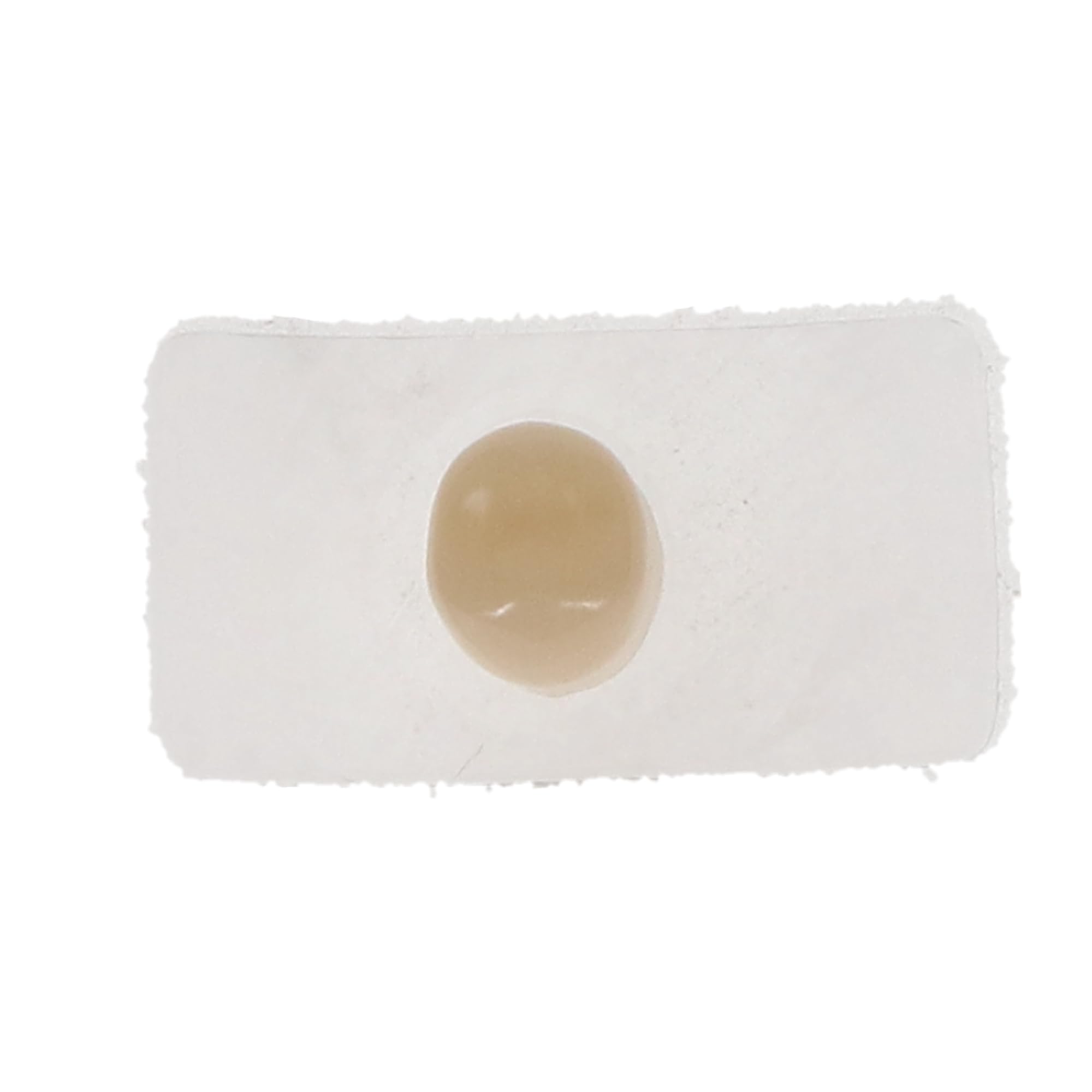 3M ESPE 50616 Protemp Crown Temporization Material Lower Bicuspid Shells 5/Pk