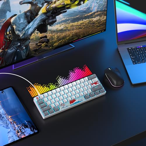 Image of 60 Percent Gaming Keyboard 61 Keys Wired Mechanical Keyboard Ultra Compact Key Board Red Switch LED Backlit for Windows Laptop Gamer(61Huibai)