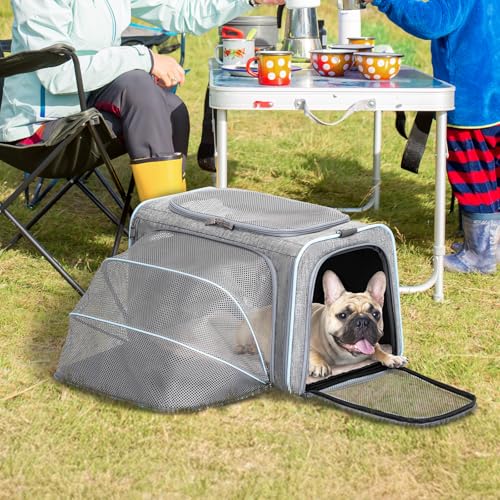Petsfit Faltbarer Transporttasche Katze und Hund,erweiterbare Katzentransportbox mit Schultergurt Hundetragetasche Flugtasche Oxford Gewebe für Katze und Hund, L/Grau/Einseitig