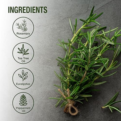 MYSTERE-BEAUTE-Rosemary-Hair-Oil-for-Hair-Growth-Ideal-for-Dry-Damaged-Hair-Scalp-with-Mint-Biotin-Essential-Oils-Formulated-for-Scalp-Soothing-Hair-Strengthening-4-fl-oz