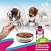Cat & Dog Urinary Tract Infection Treatment & Natural UTI Medicine Cranberry & D-Mannose -Kidney+Bladder Support - Best Incontinence, Bladder Stones - Pet Renal Health & Care Drops