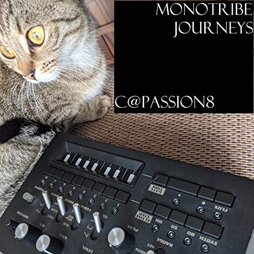  Monotribe Journeys
